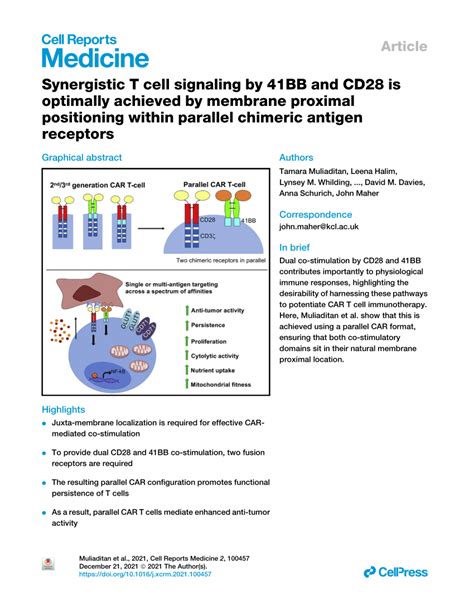 Pdf Synergistic T Cell Signaling By Bb And Cd Is Optimally