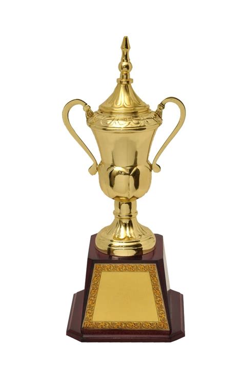 Jaipurcrafts Golden Gold Plated Championship Trophy At Rs 250 Piece