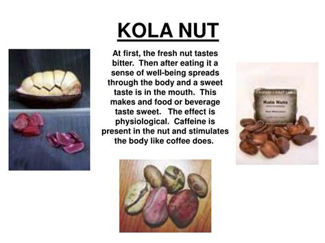 PPT - KOLA NUT PowerPoint Presentation, free download - ID:4756320