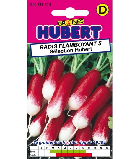 Sachet De Graines A Semer De Radis Long Pontvil Selection Hubert