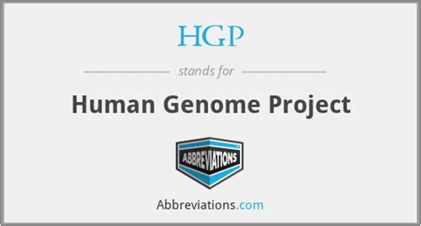 Hgp Human Genome Project