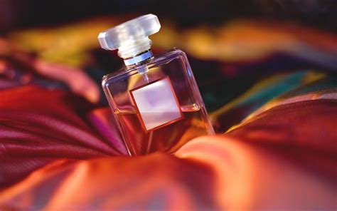 Perfumes De Mujer Que Enloquecen A Los Hombres