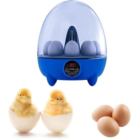 Incubateurs De Poulet Pour Couver Des Œufs Incubateur D Œufs Avec