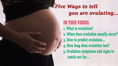 Five Ways To Tell You Are Ovulating Pregnancy Parenting Brand