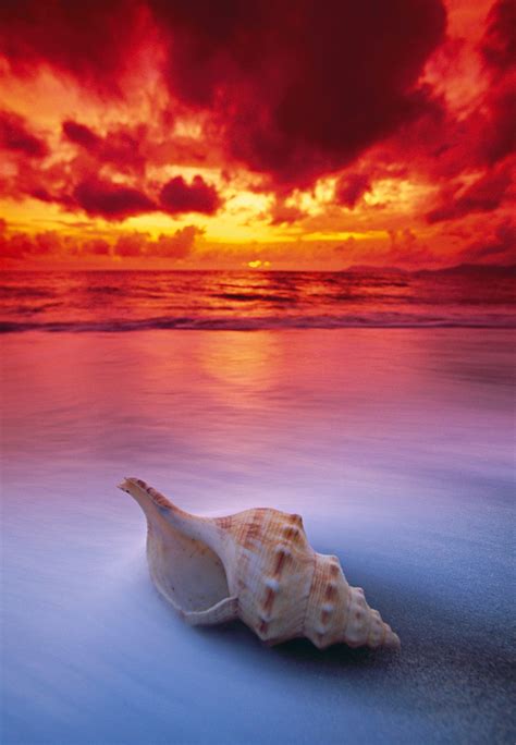 Shell Sunrise A Limited Edition Fine Art Photograph By Peter Lik