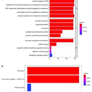 GO Annotation And KEGG Enrichment Analysis Of 30 DE SRPGs A Top Five