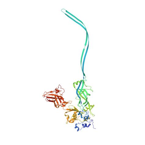 Rcsb Pdb 6psn Anthrax Toxin Protective Antigen Channels Bound To