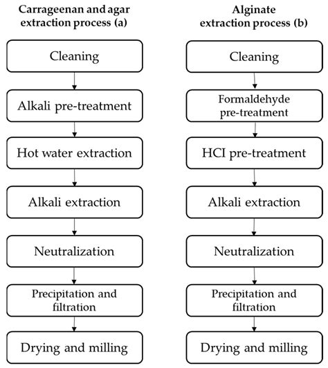 Technologies For Seaweed Polysaccharides Extraction Encyclopedia Mdpi