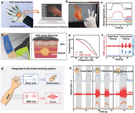 Integrated Multimodal Sensing System Of Human Body Activities With