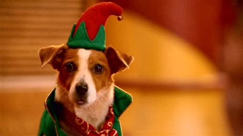 Shameless Pile Of Stuff Movie Review Santa Paws 2 The Santa Pups