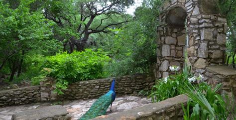 Mayfield Park and Preserve - Austin Parks Foundation