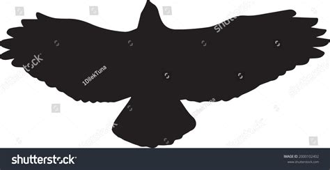 Flying Hawk Black Silhouette Vector Viewed Stock Vector (Royalty Free) 2000102402 | Shutterstock