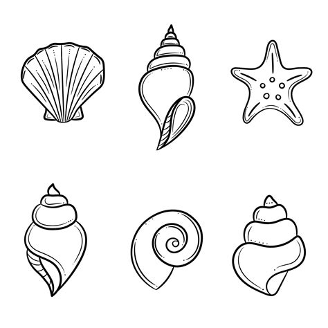 Premium Vector Seashell Vector Illustration Hand Drawn Elements Isolated