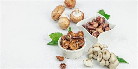 Assortment Of Various Mushrooms Fresh Dried And Pickled Oyster