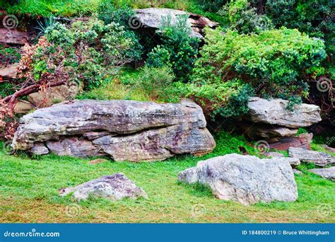 Large Lichen Covered Sandstone Rocks Sydney Australia Stock Image