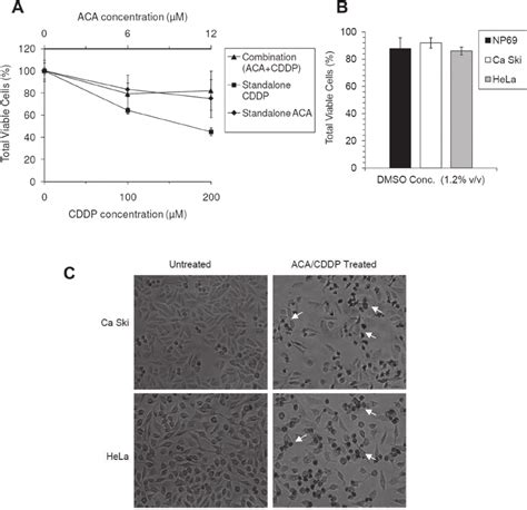 Cytotoxic Effects Of Both Aca And Cddp On Normal Cell Controls A