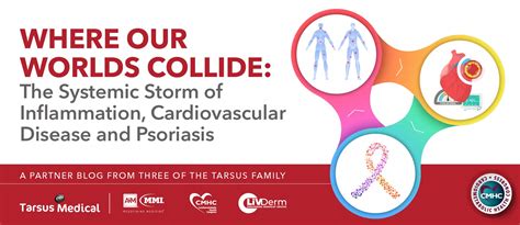 Where Our Worlds Collide: The Systemic Storm of Inflammation, Cardiovascular Disease and ...