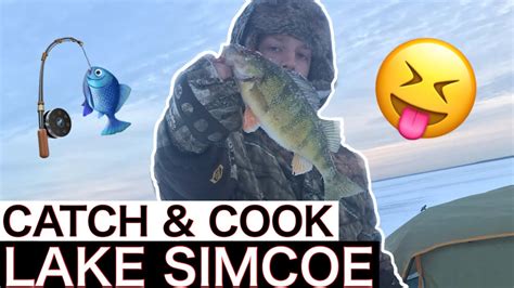 Lake Simcoe Catch And Cook Perch Youtube