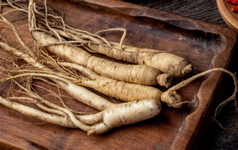 Panax Ginseng na Urologia Benefícios para Saúde Masculina