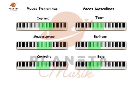 【tipos De Voz】 Registros Vocales Soprano Tenor Contralto