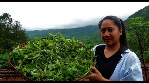 HARVEST COOK AND SELL SWEET POTATO TOPS LIBRENG PAGKAIN AT PWEDE PANG