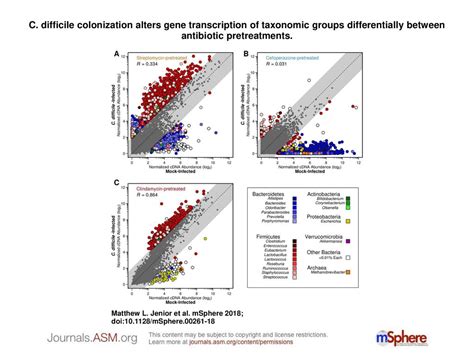 C Difficile Colonization Alters Gene Transcription Of Taxonomic Groups