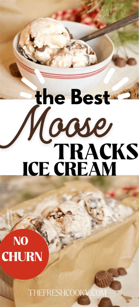 The Best Moose Tracks Ice Cream Recipe {no Churn} • The Fresh Cooky