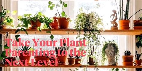 The 7 Easiest Houseplants To Propagate Article Onthursd