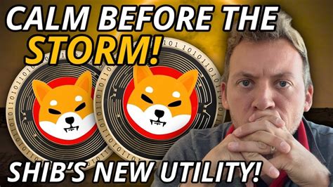 SHIBA INU CALM BEFORE THE STORM SHIB GETS NEW UTILITY YouTube