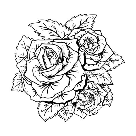 Dibujos De Rosas Blanco Y Negro