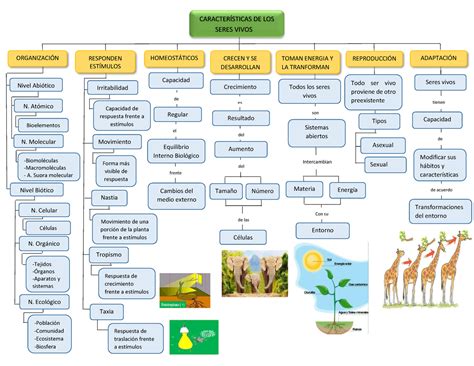 Mapa Conceptual Factores Abioticos Geno The Best Porn Website Hot Sex