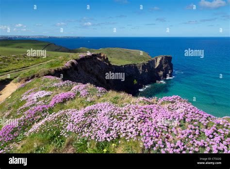 Beacon Cove Mawgan Porth Cornwall Uk Stock Photo Alamy