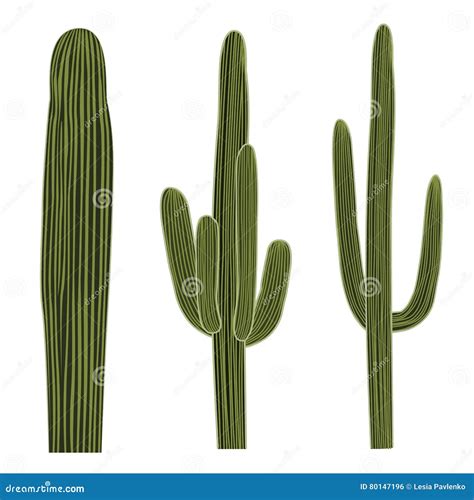 Saguaro Cactus In Ground Neon Light Icon Cartoon Vector | CartoonDealer ...