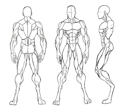 Male Anatomy Base By Mizz Swagnificent On Deviantart Human Figure