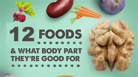 12 Foods That Resemble The Body Parts They re Good For शरर क हर अग