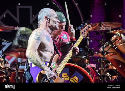 Red Hot Chili Peppers Flea Bass Chad Smith Drums Live In Buenos Aires Argentina Stock