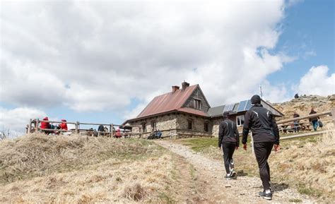 Chatka Puchatka Ju Nie Schronisko Tylko Schron Nowiny