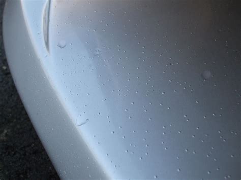 Car Paint Bubbling After Respray Forced Logbook Photos