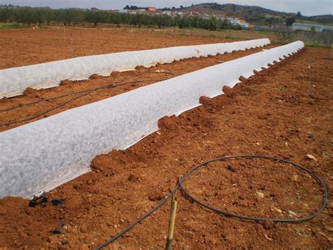 Mantas T Rmicas La Mejor Protecci N Contra El Fr O Para Tus Plantas