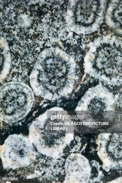 Plutonic Igneous Rock Photos And Premium High Res Pictures Getty Images