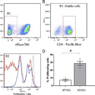 Endothelial Cells Mouse Microvascular Endothelial Cells MS1 Cells