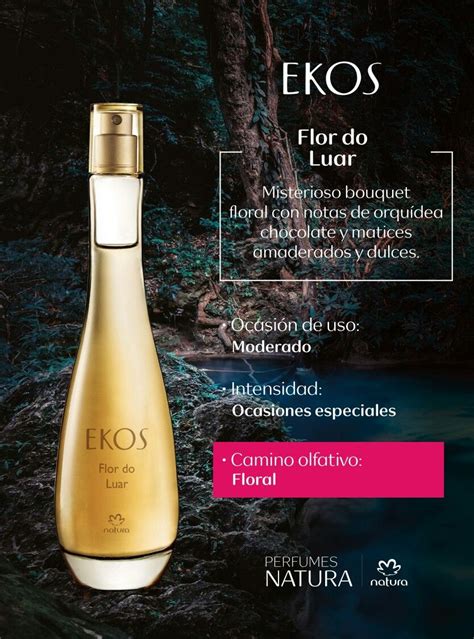 Descubrir Imagen Ekos Flor Do Luar Natura Abzlocal Mx