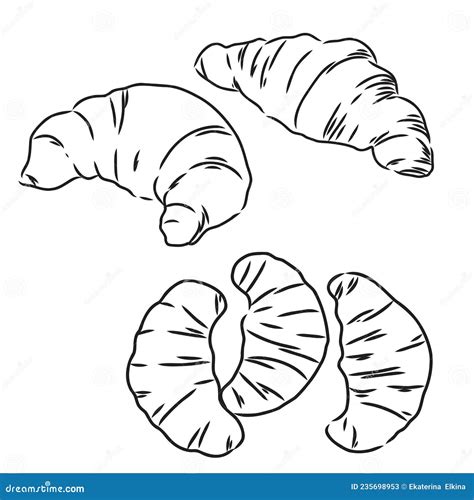 Croissant Doodle A Hand Drawn Vector Doodle Illustration Of A