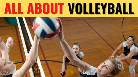 All About Volleyball History Skills Positions And Rules