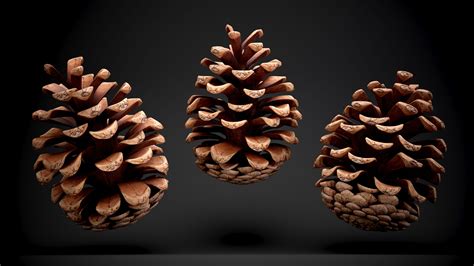 Pine Cones Collection 3d Model 29 3ds Obj Max C4d Ma Free3d