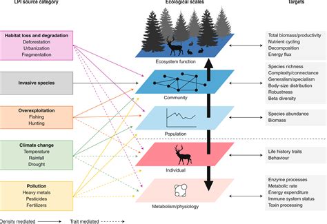 A Multiscale Synthesis Of Mousedeer Habitat Associations In