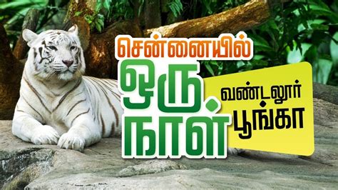 Vandalur Zoo Animals List