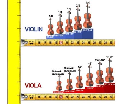 violin sizes and measurements are shown in this graphic