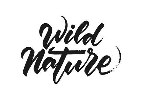 Vector Illustration Handwritten Brush Type Lettering Of Wild And Free