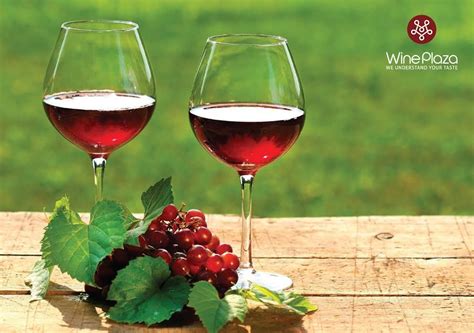 Hơi Thở Của Rượu Vang Wineplaza